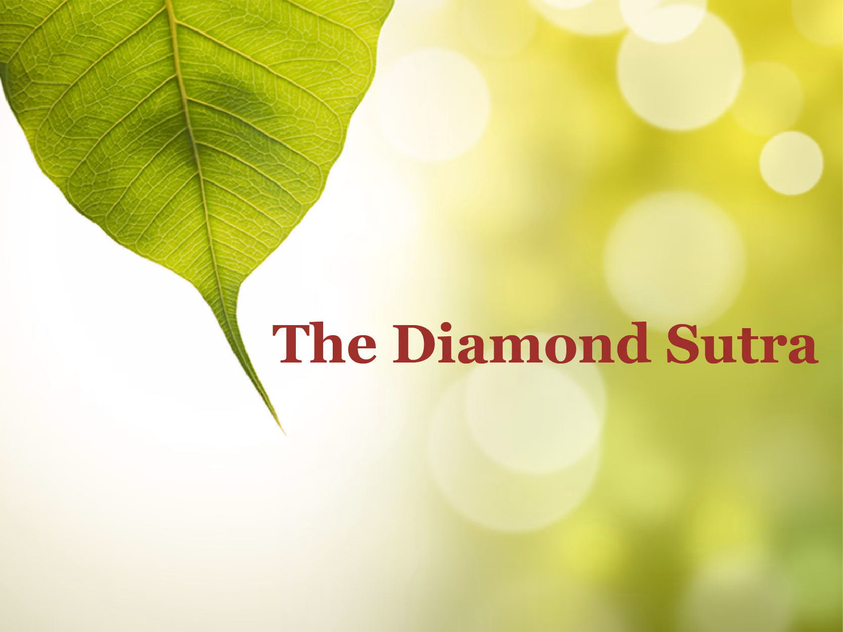 The Diamond Sutra